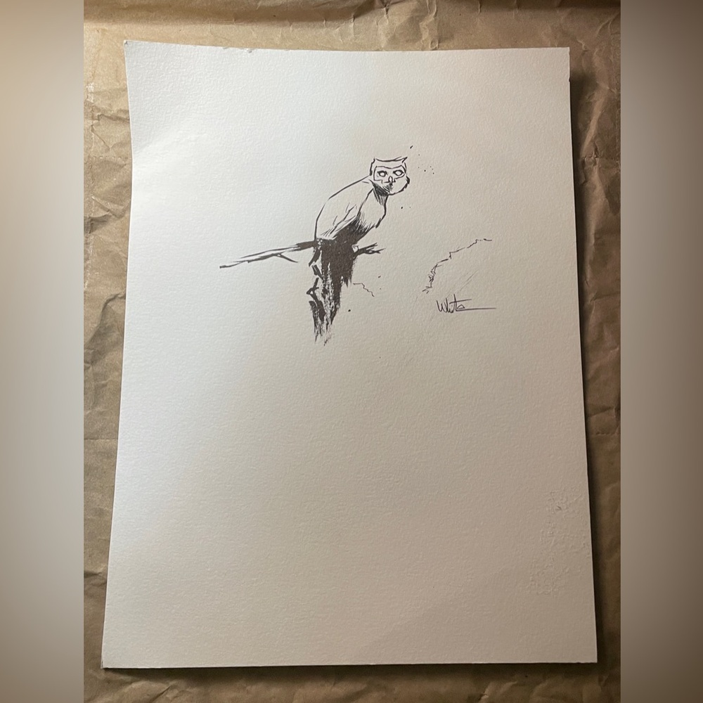 Owl Drawing Artwork